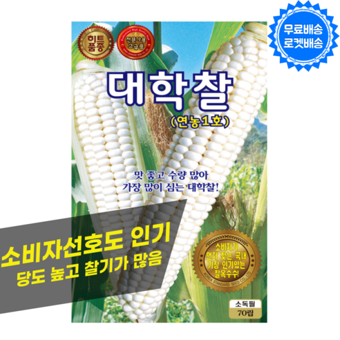 대학찰옥수수씨앗 (70립) 연농1호 찰 옥수수 씨앗, 2개