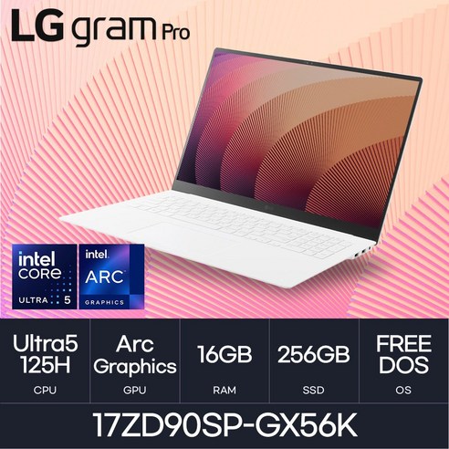 LG전자 그램 프로17 17ZD90SP-GX56K, WIN11 Home, 16GB, 256GB, 화이트