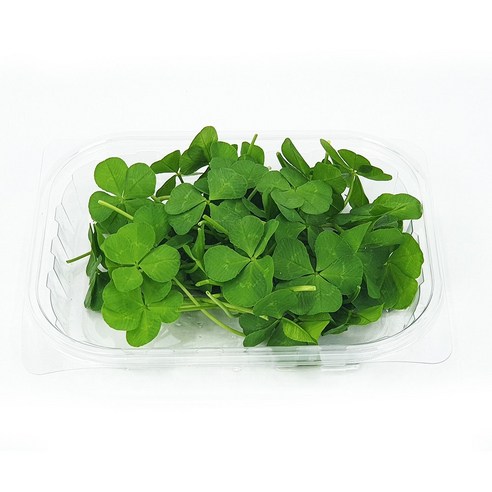푸드클로버 식용 네잎클로버 샐러드, 30잎