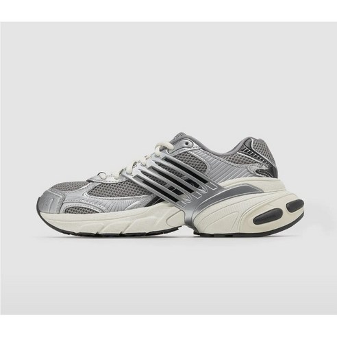 빛나는 일상, 아디스타 XLG와 함께 걷다