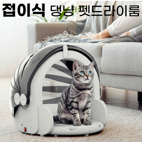 반려동물의 건강과 편안함을 위한 최고의 선택: 댕냥 펫드라이룸