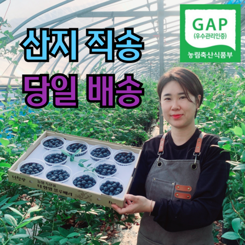 국산 생 블루베리 GAP 인증받은 달디달고 단단한 왕 블루베리, 1박스, 16~18mm 대과 500g 복분자생과10kg Best Top5