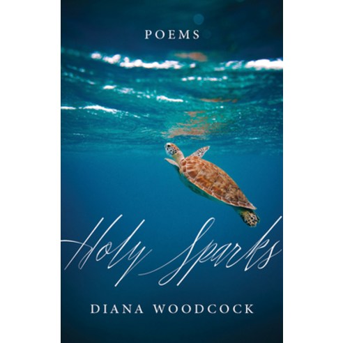 (영문도서) Holy Sparks: Poems Paperback, Paraclete Press (MA), English, 9781640606012