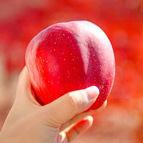 황홀한 달콤함에 퐁당! 17Brix 피치애플 엔부사과