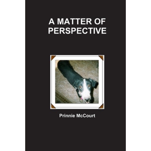 (영문도서) A Matter of Perspective Paperback, Lulu.com, English, 9781300573050
