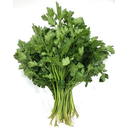 야채왕 이태리파슬리 1kg 향나물, 1kg, 1개