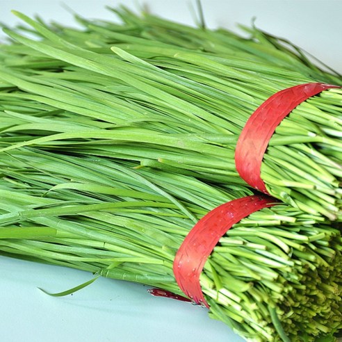 < 바른농산 > 당일수확 국내산 부추 1kg, 2kg, 4kg, 8kg, 1개, 2kg