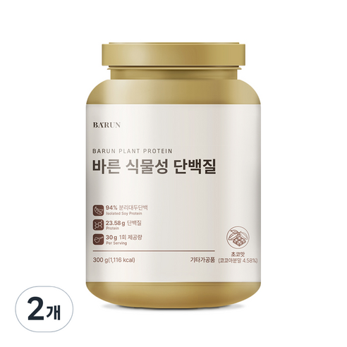 바른 식물성 단백질 프로틴 유당 콜레스테롤 제로, 300g, 2개