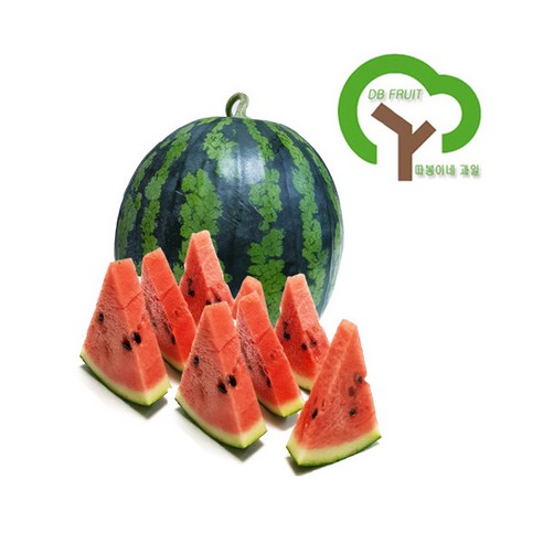 따봉이네과일 수박, 1개, 꼭지절단 5-7kg 씨없는수박 따봉이네과일 수박, 1개, 꼭지절단 5-7kg 씨없는수박