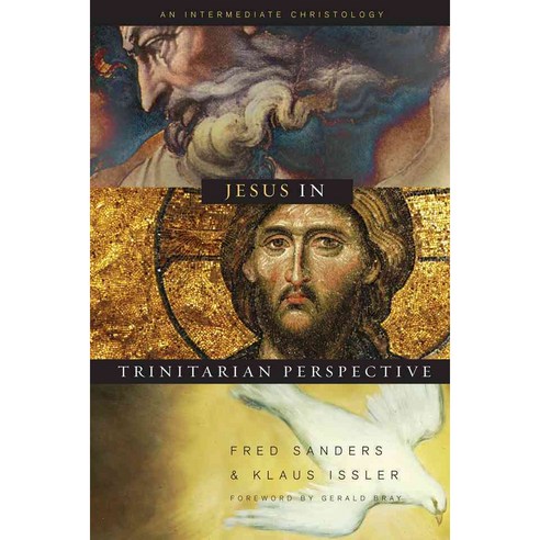 Jesus in Trinitarian Perspective: An Introductory Christology, B & H Academic