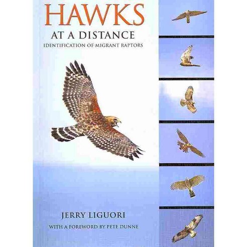 Hawks at a Distance: Identification of Migrant Raptors, Princeton Univ Pr