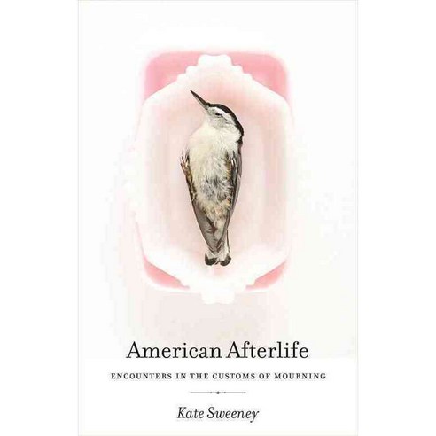 American Afterlife: Encounters in the Customs of Mourning, Univ of Georgia Pr