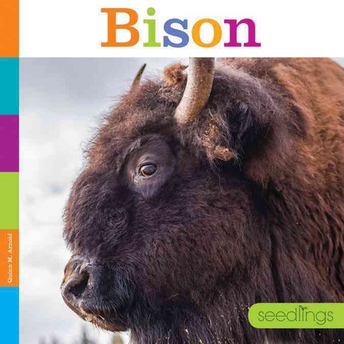 Bison, Creative Paperbacks Inc