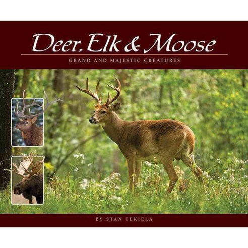 Deer Elk & Moose: Grand and Majestic Creatures, Adventure Pubns