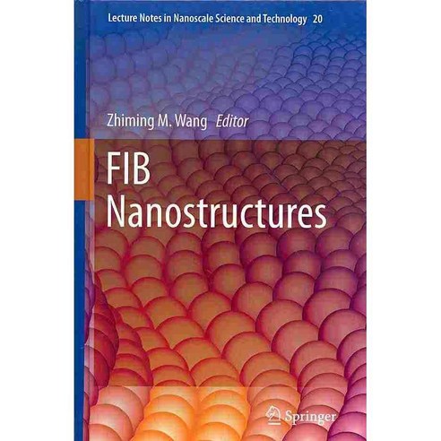 FIB Nanostructures, Springer Verlag