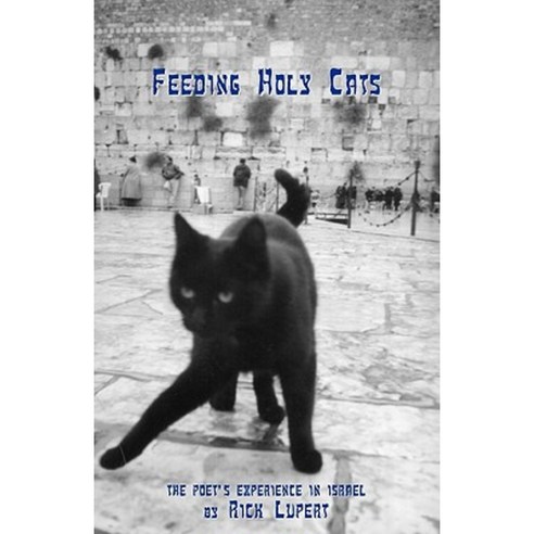 Feeding Holy Cats: The Poet''s Experience in Israel Paperback, Ain''t Got No Press
