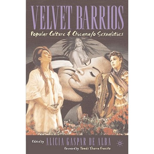 Velvet Barrios: Popular Culture and Chicana/O Sexualities Paperback, Palgrave MacMillan