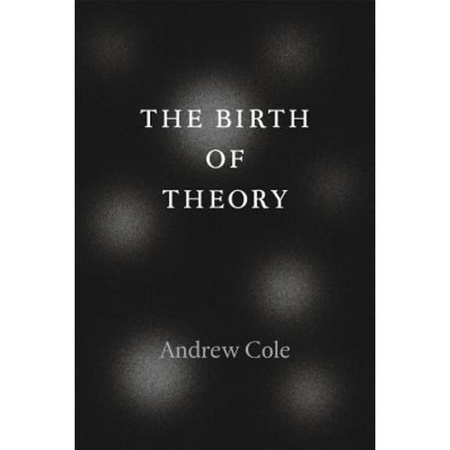 The Birth of Theory Paperback, University of Chicago Press