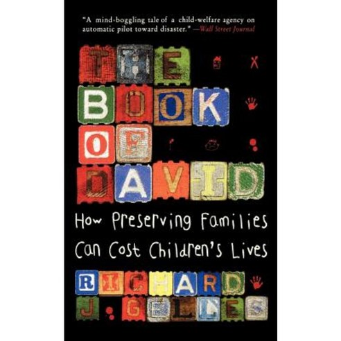 The Book of David: How Preserving Families Can Cost Children''s Lives Paperback, Basic Books