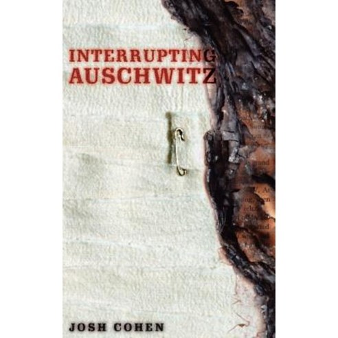 Interrupting Auschwitz: Art Religion Philosophy Hardcover, Continnuum-3pl