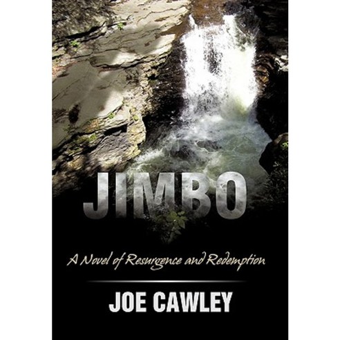 Jimbo: A Novel of Resurgence and Redemption Paperback, iUniverse