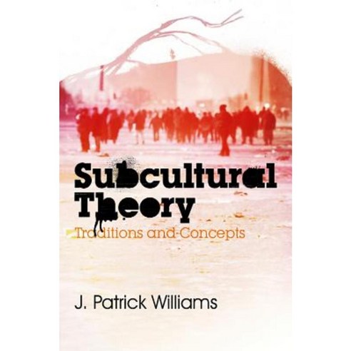 Subcultural Theory: Traditions and Concepts Paperback, Polity Press