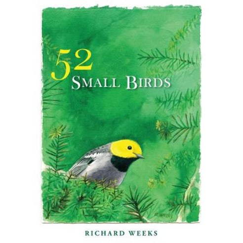 52 Small Birds Paperback, Luminare Press
