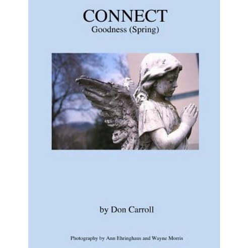 Connect: Goodness (Spring) Paperback, Little Peak Creek Publishing Company