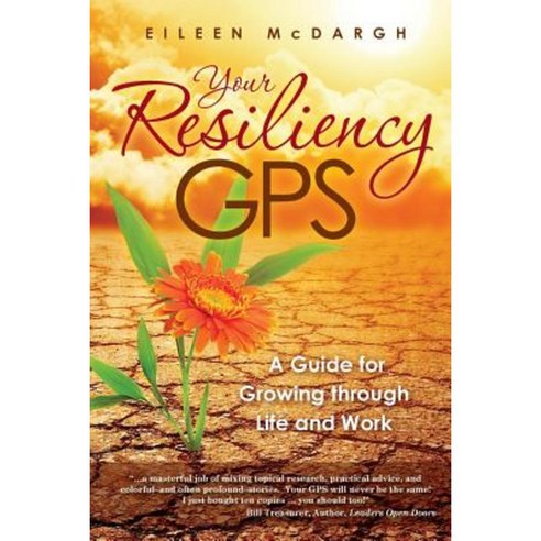 Your Resiliency GPS: A Guide for Growing Through Life and Work Paperback, Loch Lomond Press