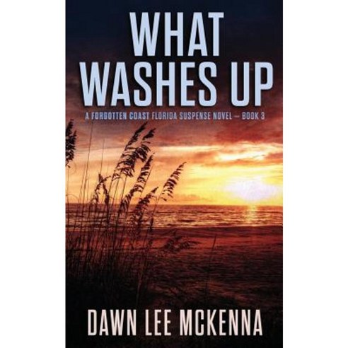 What Washes Up Paperback, Sweet Tea Press