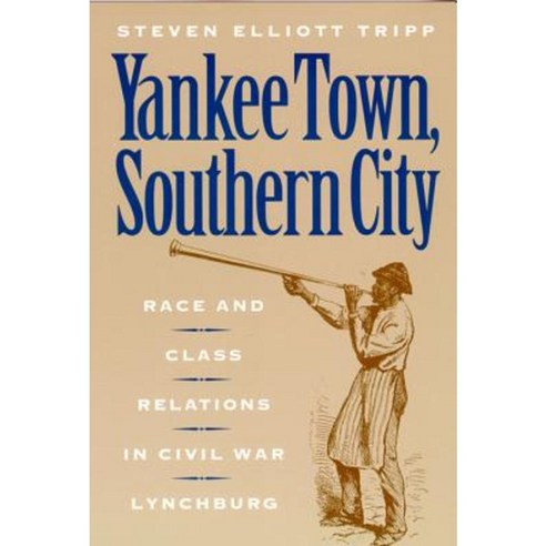 Yankee Town Southern City: Race and Class Relations in Civil War Lynchburg Hardcover, New York University Press