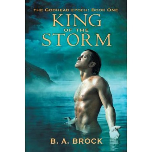 King of the Storm Paperback, DSP Publications
