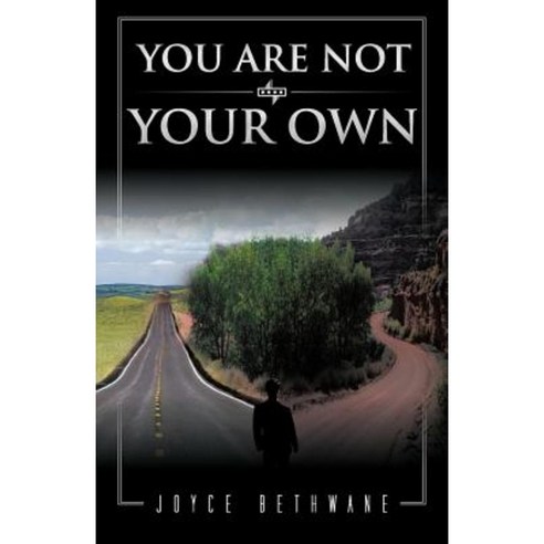 You Are Not Your Own Paperback, Trafford Publishing