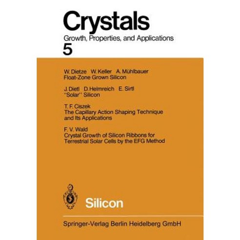Silicon Paperback, Springer