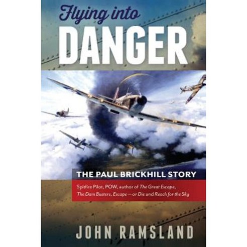 Flying Into Danger Paperback, Brolga Pub.