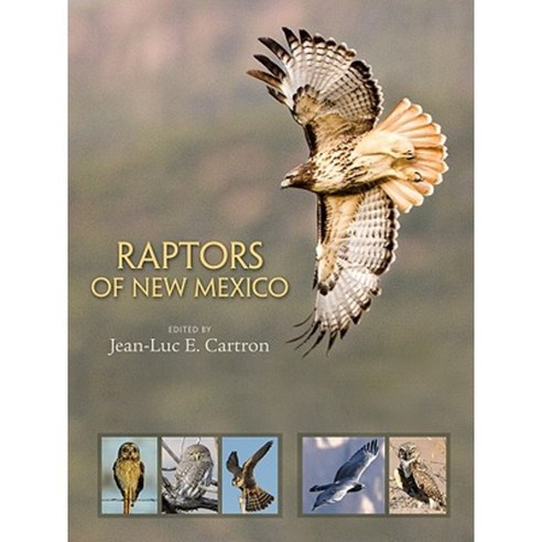 Raptors of New Mexico Hardcover, University of New Mexico Press