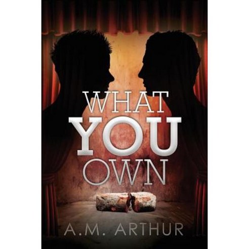 What You Own Paperback, Dreamspinner Press