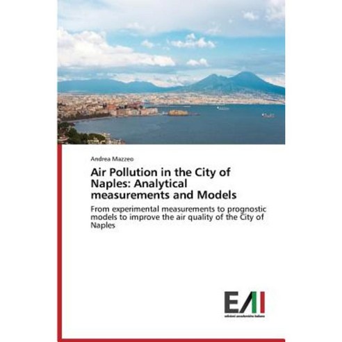 Air Pollution in the City of Naples: Analytical Measurements and Models Paperback, Edizioni Accademiche Italiane