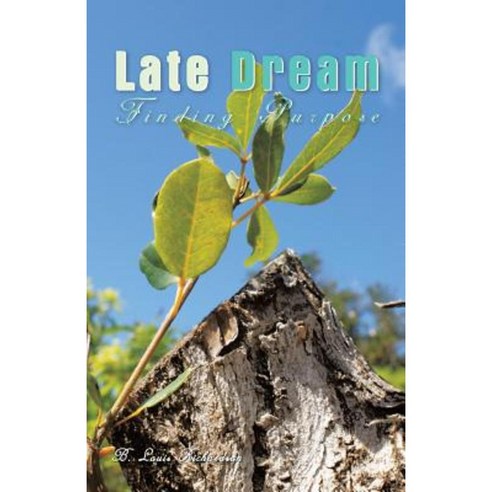 Late Dream: Finding Purpose Paperback, iUniverse