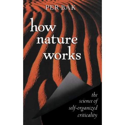 How Nature Works: The Science of Self-Organized Criticality Hardcover, Copernicus Books