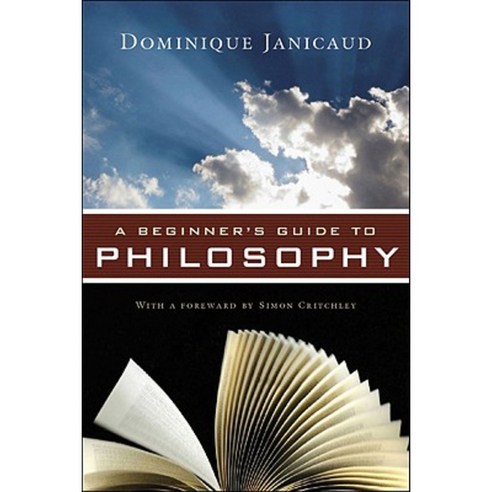 A Beginner''s Guide to Philosophy Paperback, Pegasus Books
