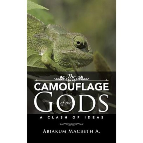 The Camouflage of the Gods: A Clash of Ideas Paperback, Partridge Publishing