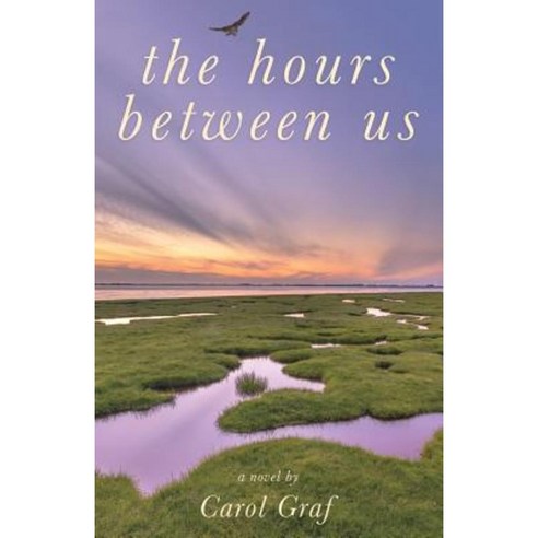 The Hours Between Us Paperback, Mill City Press, Inc.