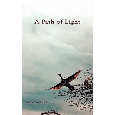 A Path of Light Paperback, iUniverse