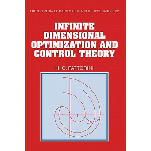 Infinite Dimensional Optimization and Control Theory, Cambridge University Press