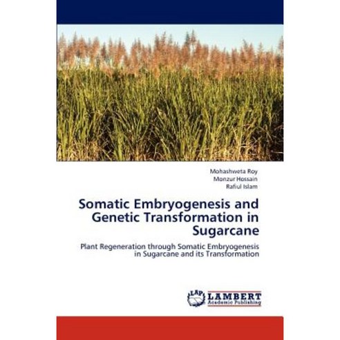 Somatic Embryogenesis and Genetic Transformation in Sugarcane Paperback, LAP Lambert Academic Publishing