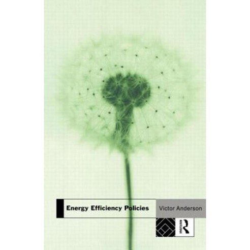 Energy Efficiency Policies Paperback, Taylor & Francis