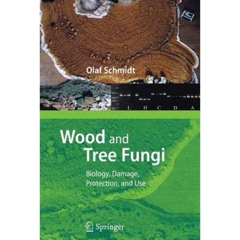 Wood and Tree Fungi: Biology Damage Protection and Use Paperback, Springer