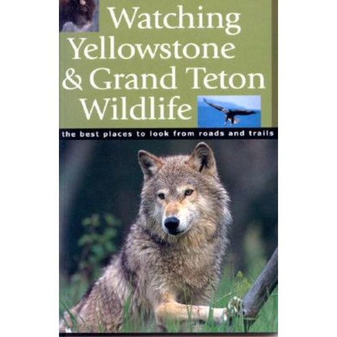 Watching Yellowstone & Grand Teton Wildlife Paperback, Riverbend Publishing