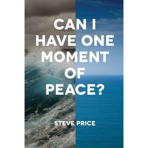 Can I Have One Moment of Peace? Paperback, Createspace